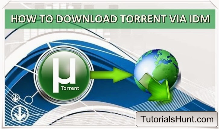Download Torrent File In Idm